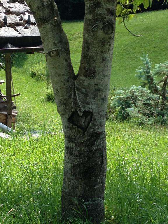 Casa Mia Villa Egg Cameră foto